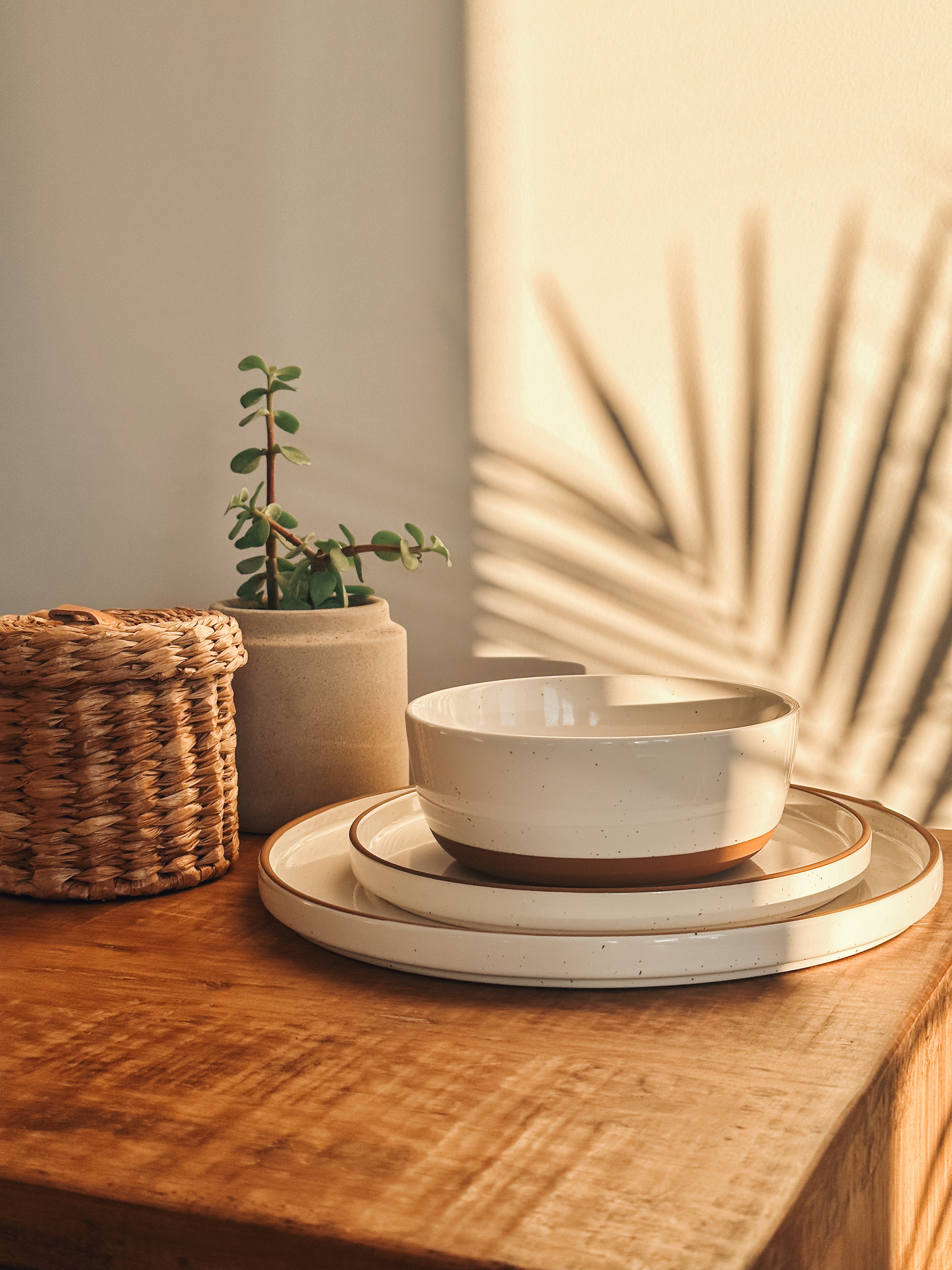 Rimmed & Flat Dinner Plates - Thumbnail 2