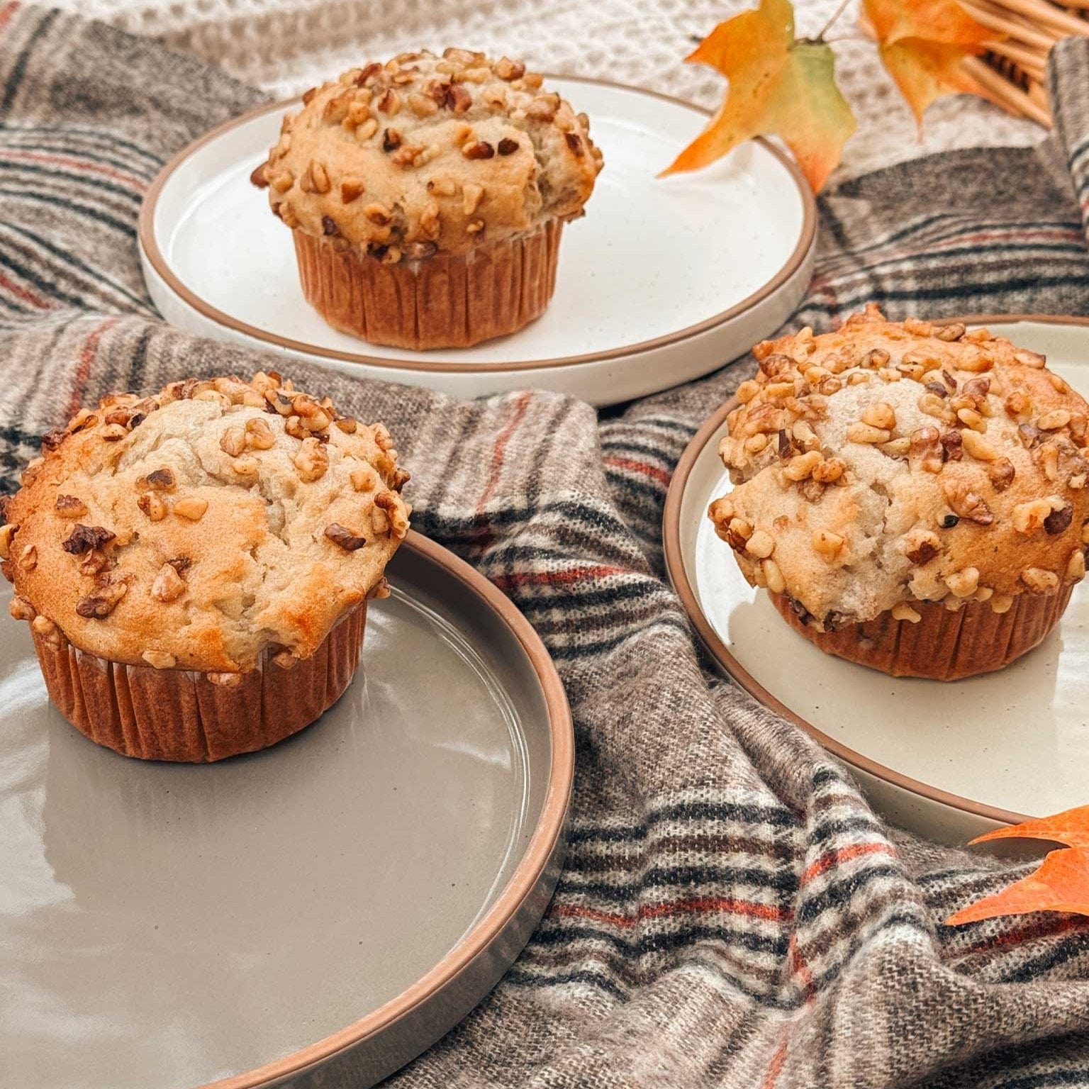 MORA CERAMICS Kitchen & Dining Salad Plates - 8 in - Assorted Neutrals