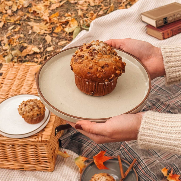 MORA CERAMICS Kitchen & Dining Salad Plates - 8 in - Assorted Neutrals