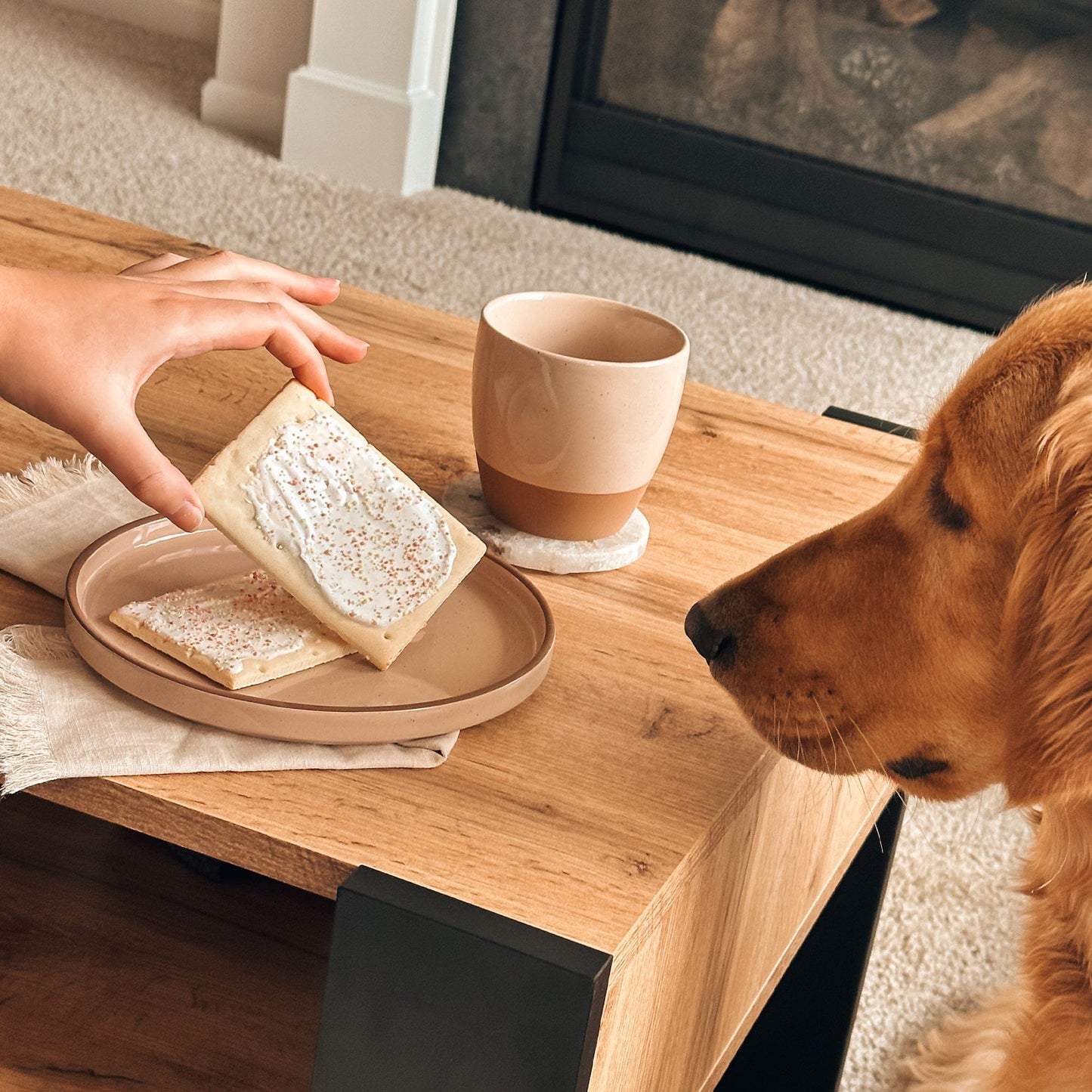 MORA CERAMICS Kitchen & Dining Salad Plates - 8 in - Chai