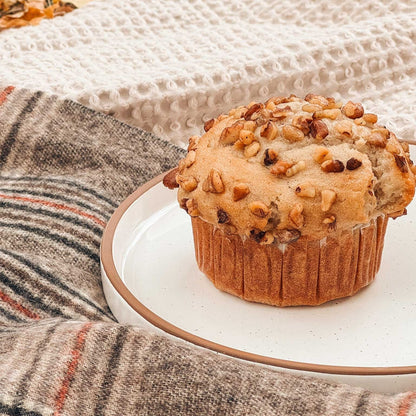 MORA CERAMICS Kitchen & Dining Salad Plates - 8 in - Vanilla White