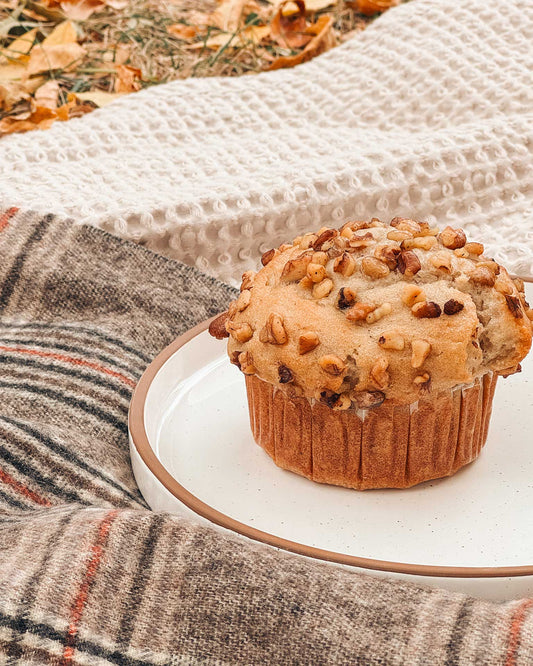 MORA CERAMICS Kitchen & Dining Salad Plates - 8 in - Vanilla White