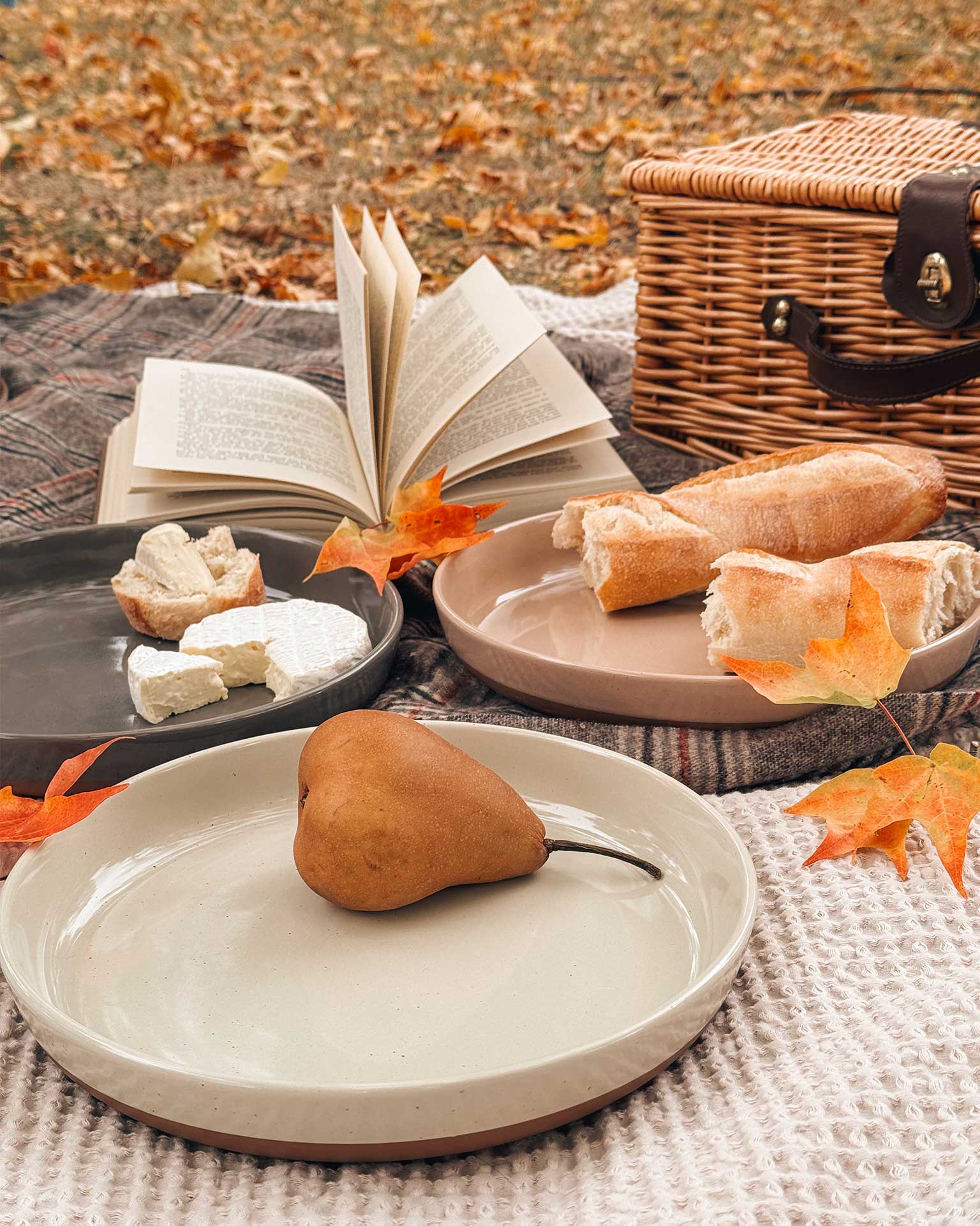 Pasta Bowls - 35oz - Assorted Neutrals - Thumbnail 4