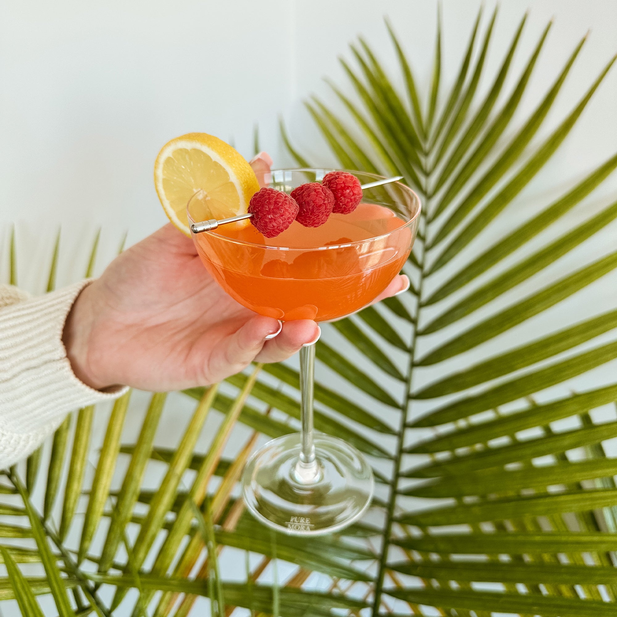 Mora Cocktail Glasses - Thumbnail 5