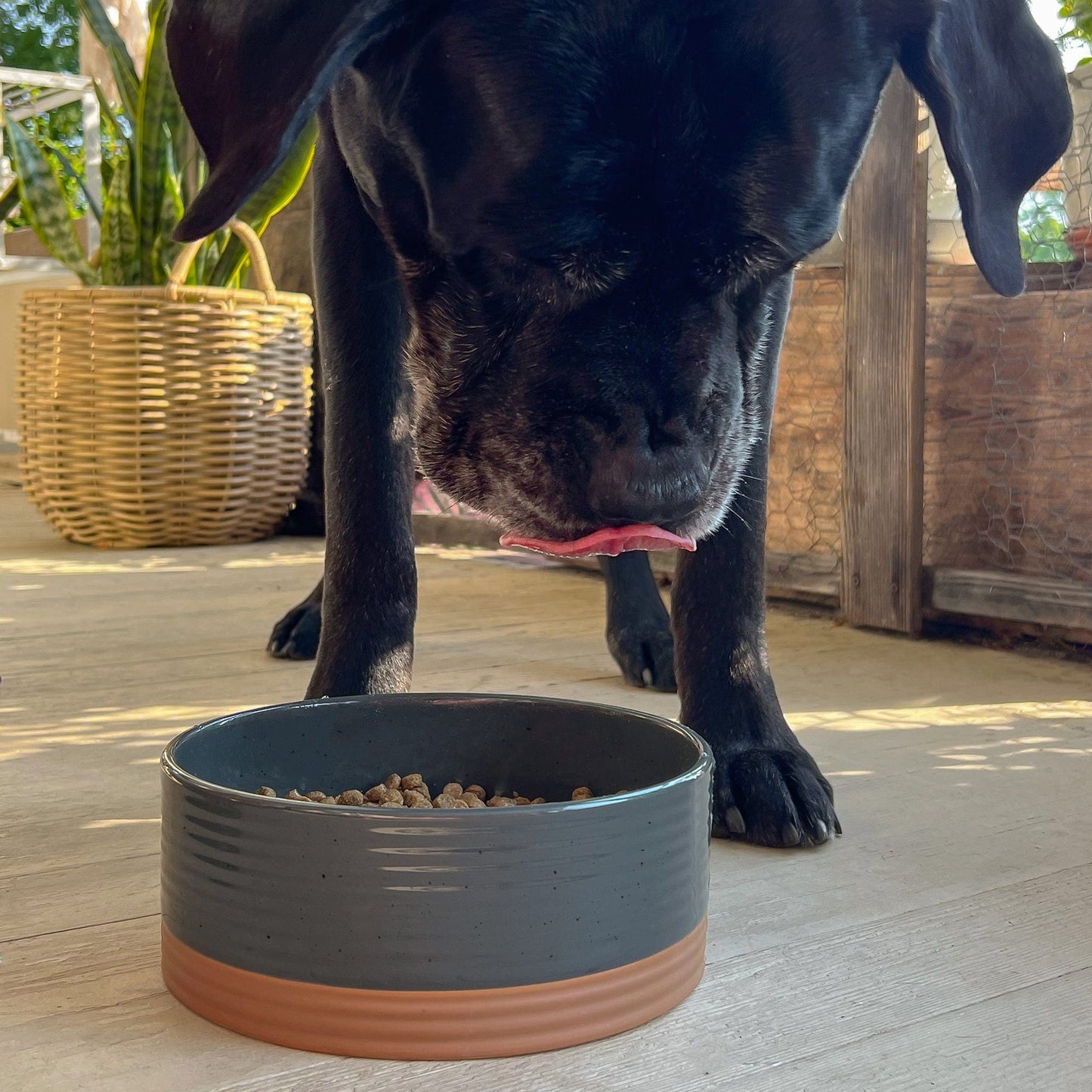 MORA CERAMICS Pet Bowls Large Pet Food Bowl - Charcoal