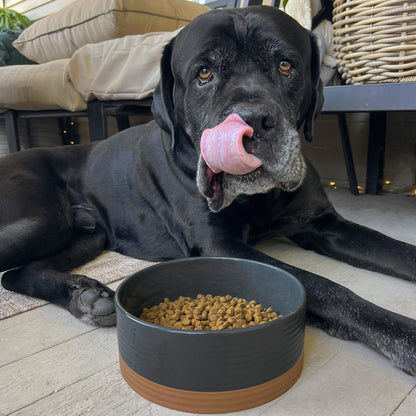MORA CERAMICS Pet Bowls Large Pet Food Bowl - Charcoal
