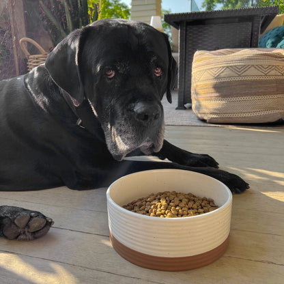 MORA CERAMICS Pet Bowls Large Pet Food Bowl - Vanilla White