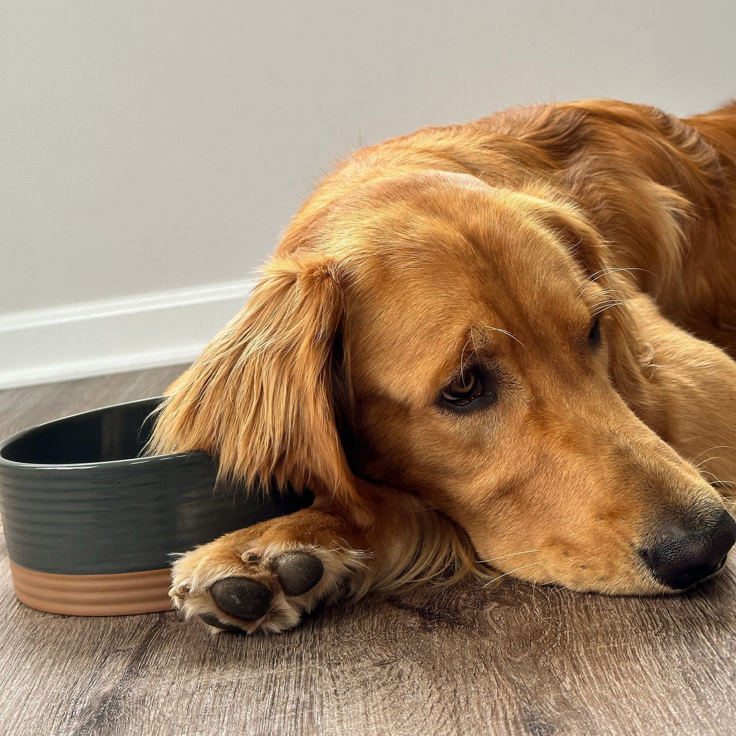 MORA CERAMICS Pet Bowls Medium Pet Food Bowl - Charcoal