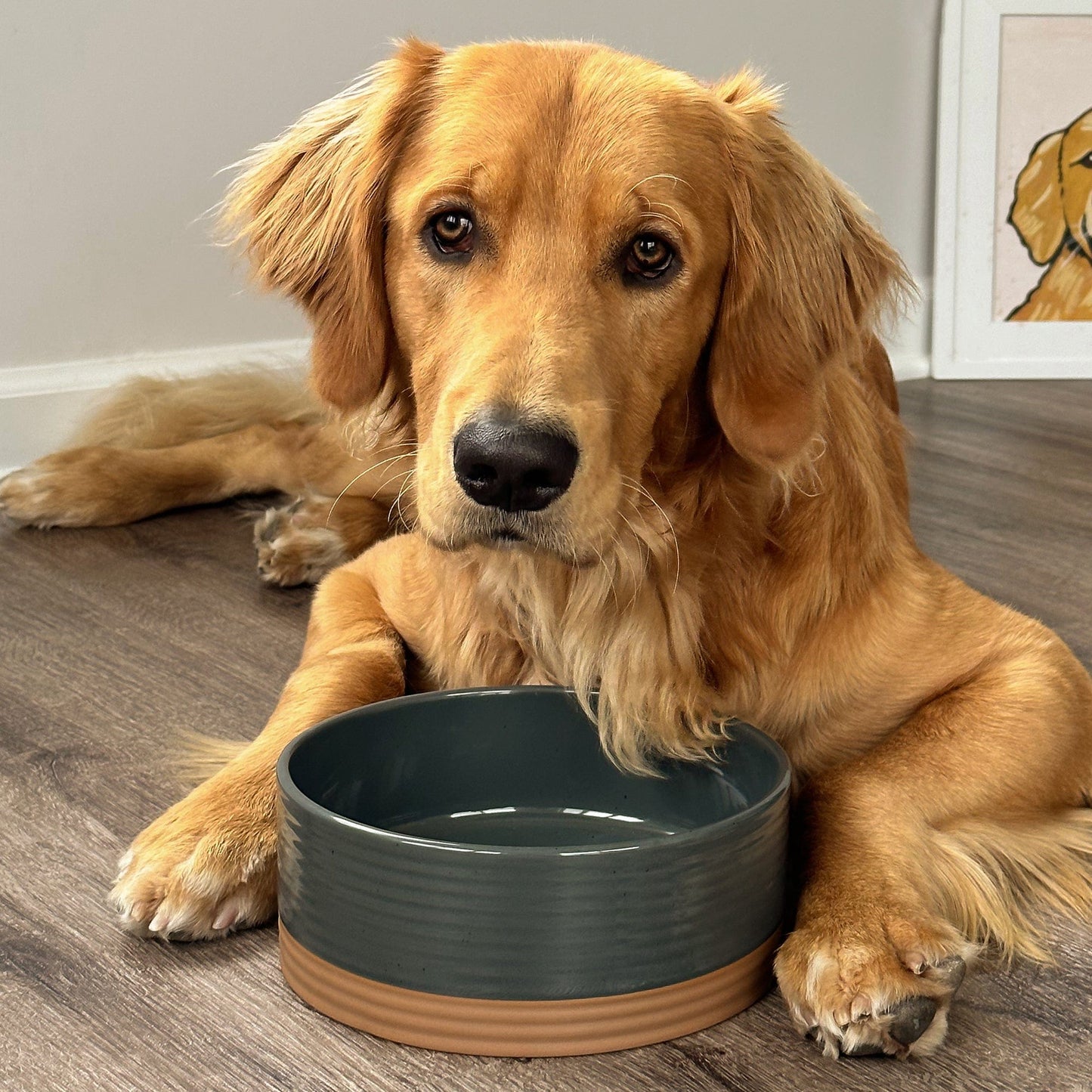 MORA CERAMICS Pet Bowls Medium Pet Food Bowl - Charcoal