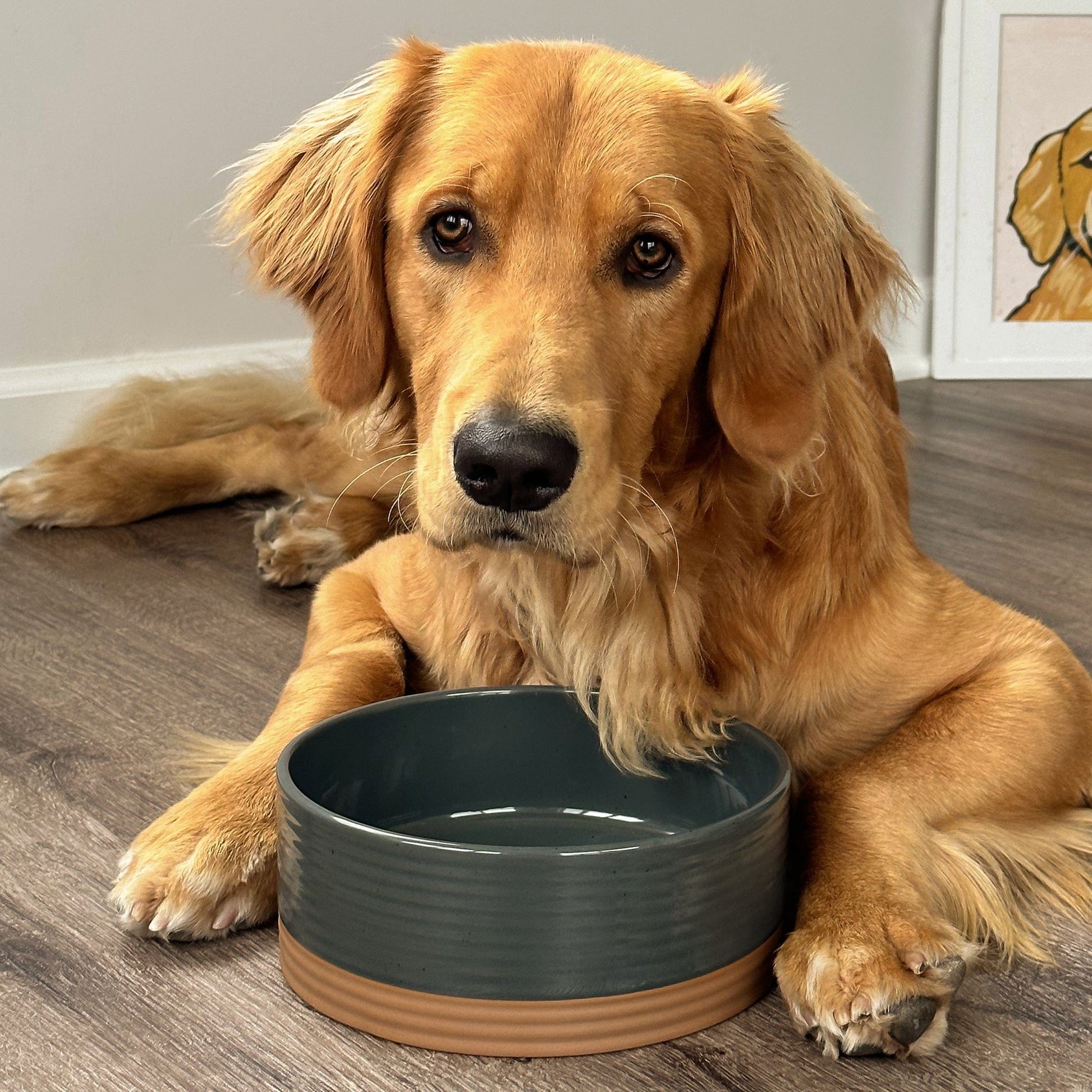 MORA CERAMICS Pet Bowls Medium Pet Food Bowl - Charcoal