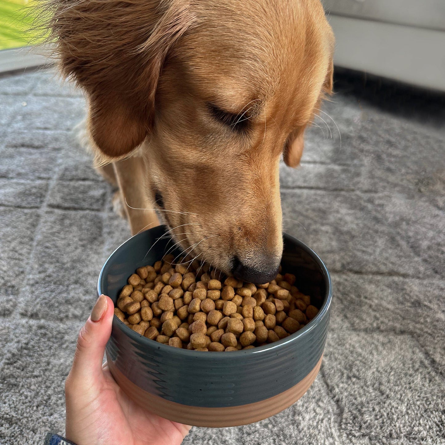 MORA CERAMICS Pet Bowls Medium Pet Food Bowl - Charcoal