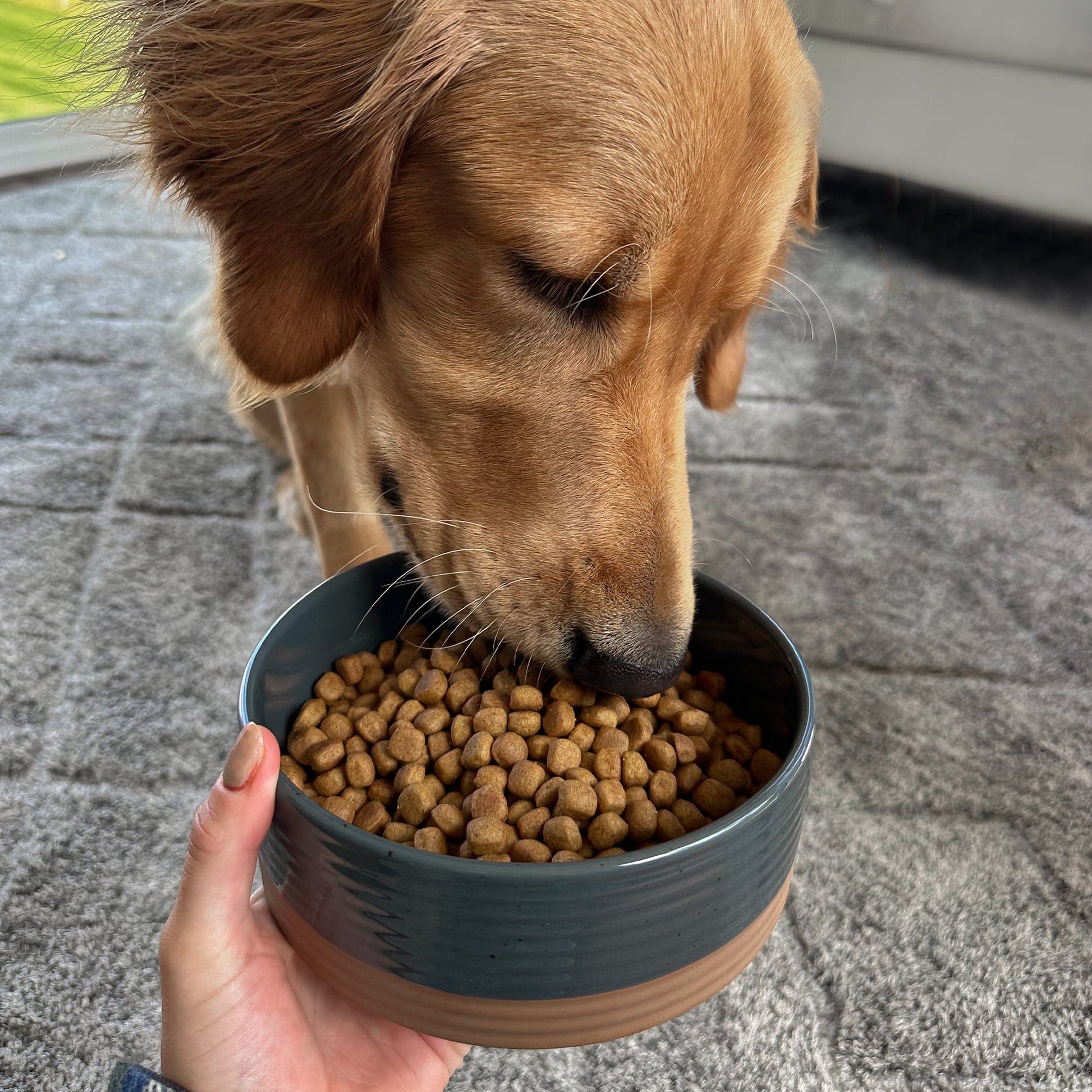 MORA CERAMICS Pet Bowls Medium Pet Food Bowl - Charcoal