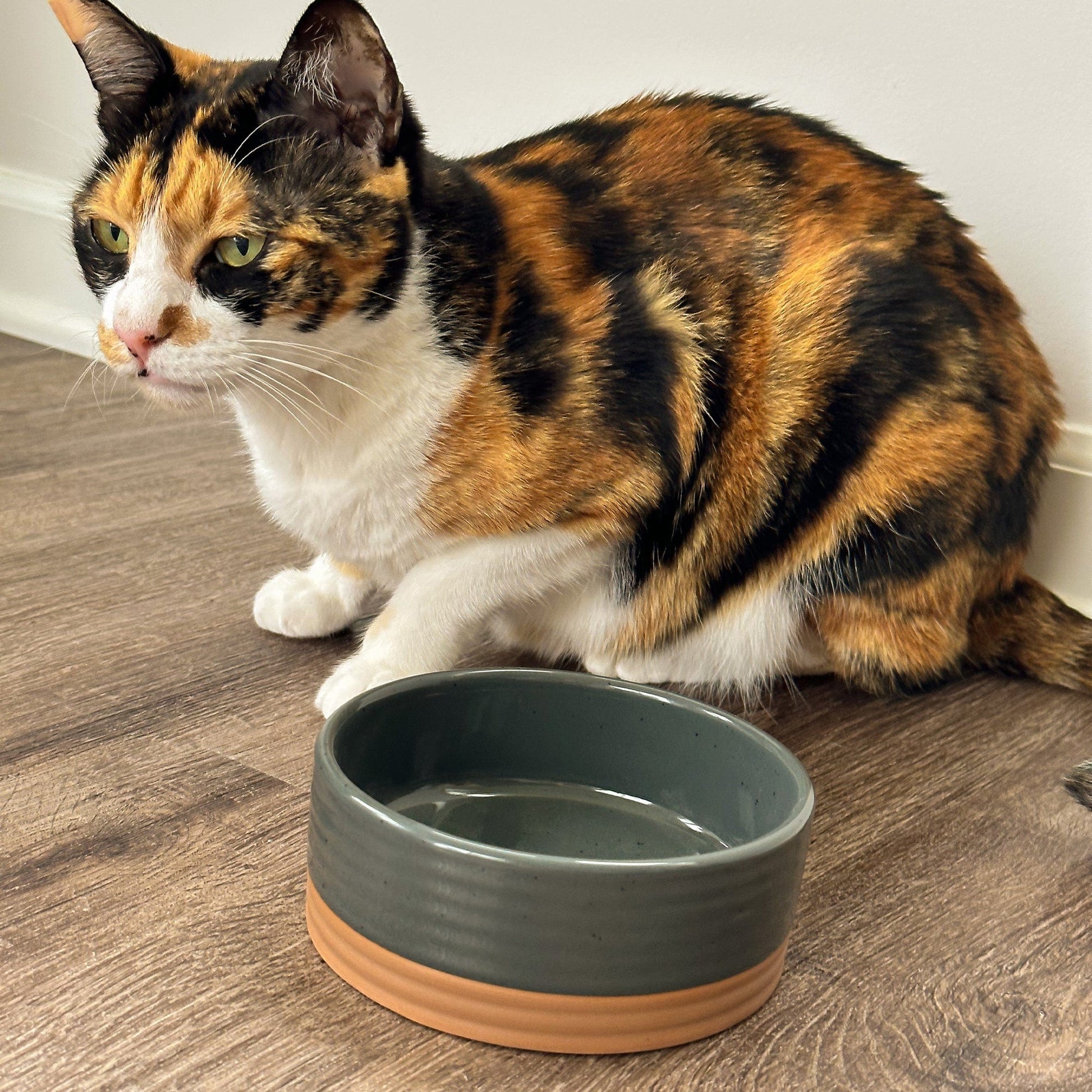 MORA CERAMICS Pet Bowls Small Pet Food Bowl - Charcoal