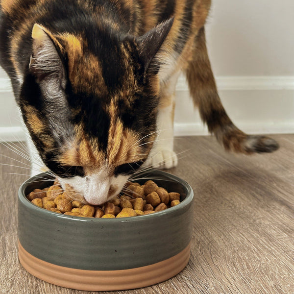 MORA CERAMICS Pet Bowls Small Pet Food Bowl - Charcoal