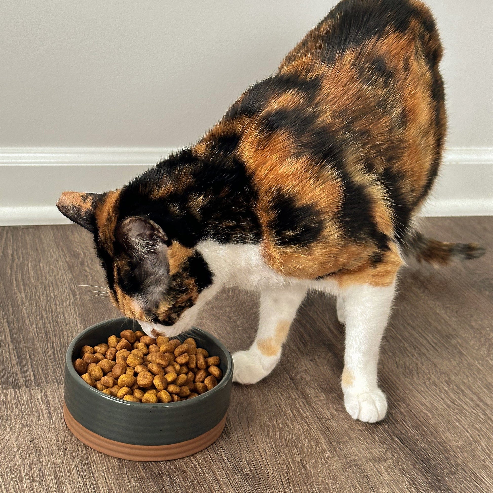 MORA CERAMICS Pet Bowls Small Pet Food Bowl - Charcoal