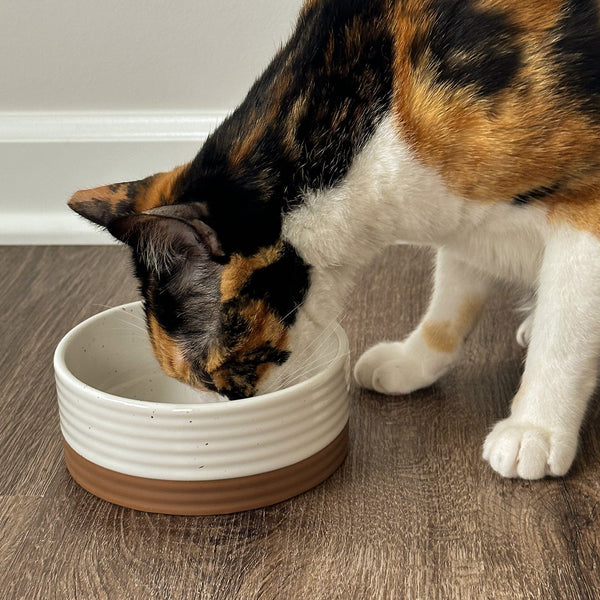 MORA CERAMICS Pet Bowls Small Pet Food Bowl - Vanilla White