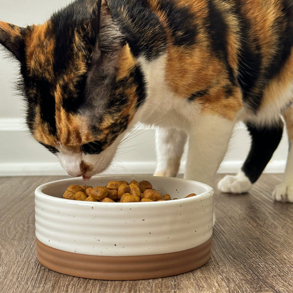 MORA CERAMICS Pet Bowls Small Pet Food Bowl - Vanilla White