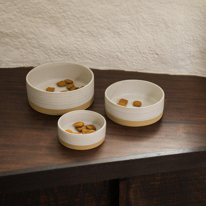 Pet Food Bowls
