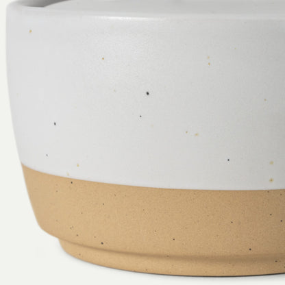 Salt & Pepper Cellars Duo