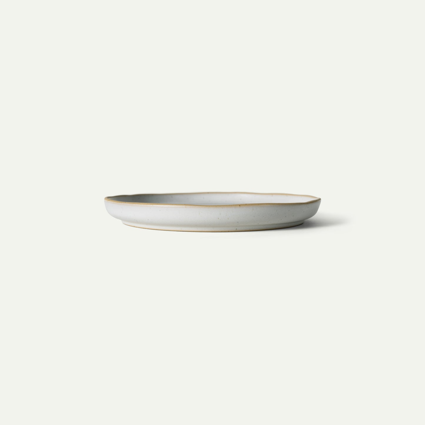 Horizon Salad Plates Quartet