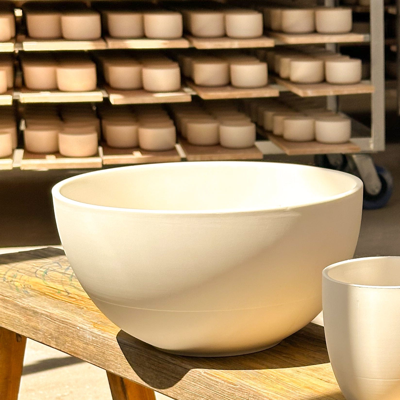 Harvest Salad Plates Quartet – Mora