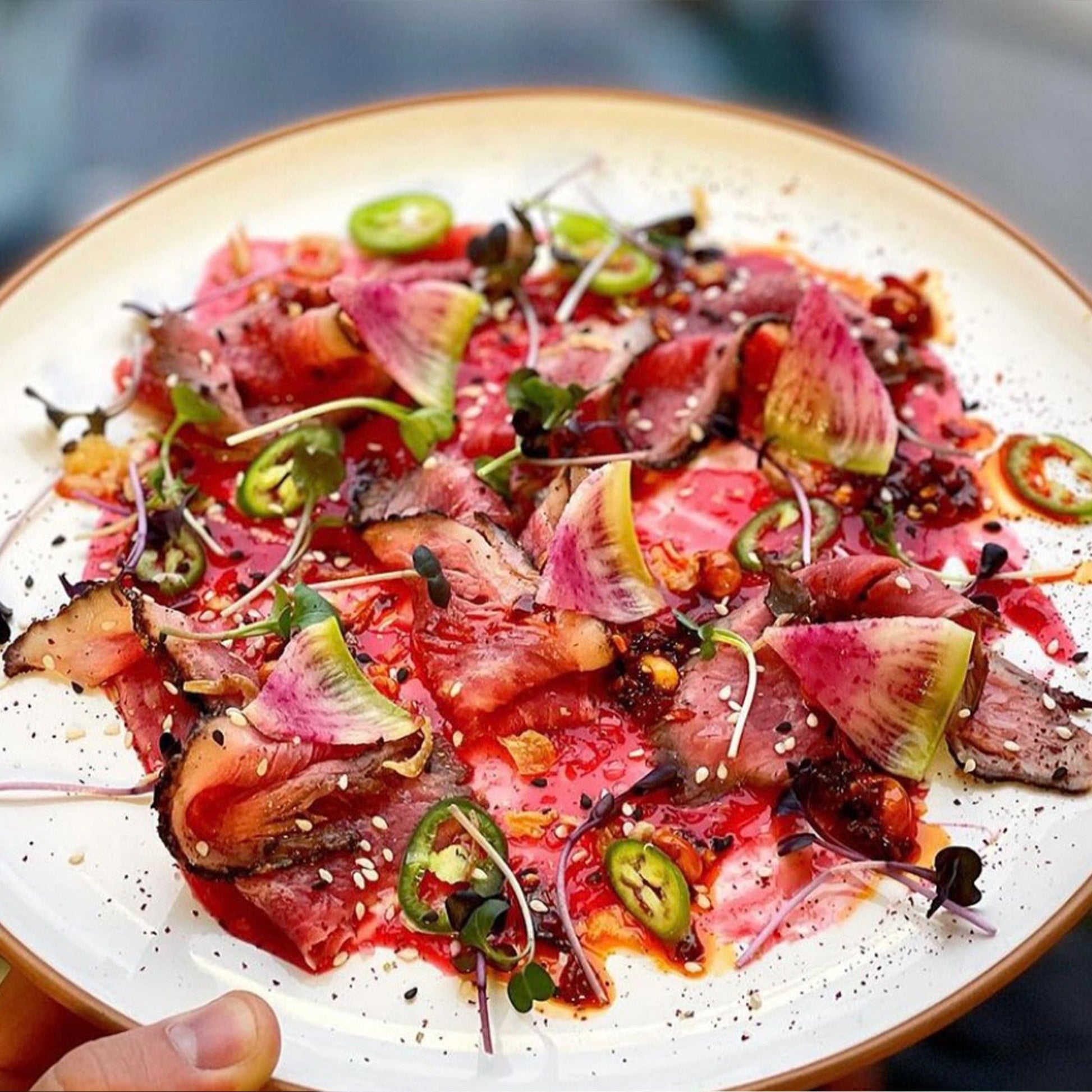 MORA CERAMICS Kitchen & Dining Dinner Plates - 10 in - Vanilla White