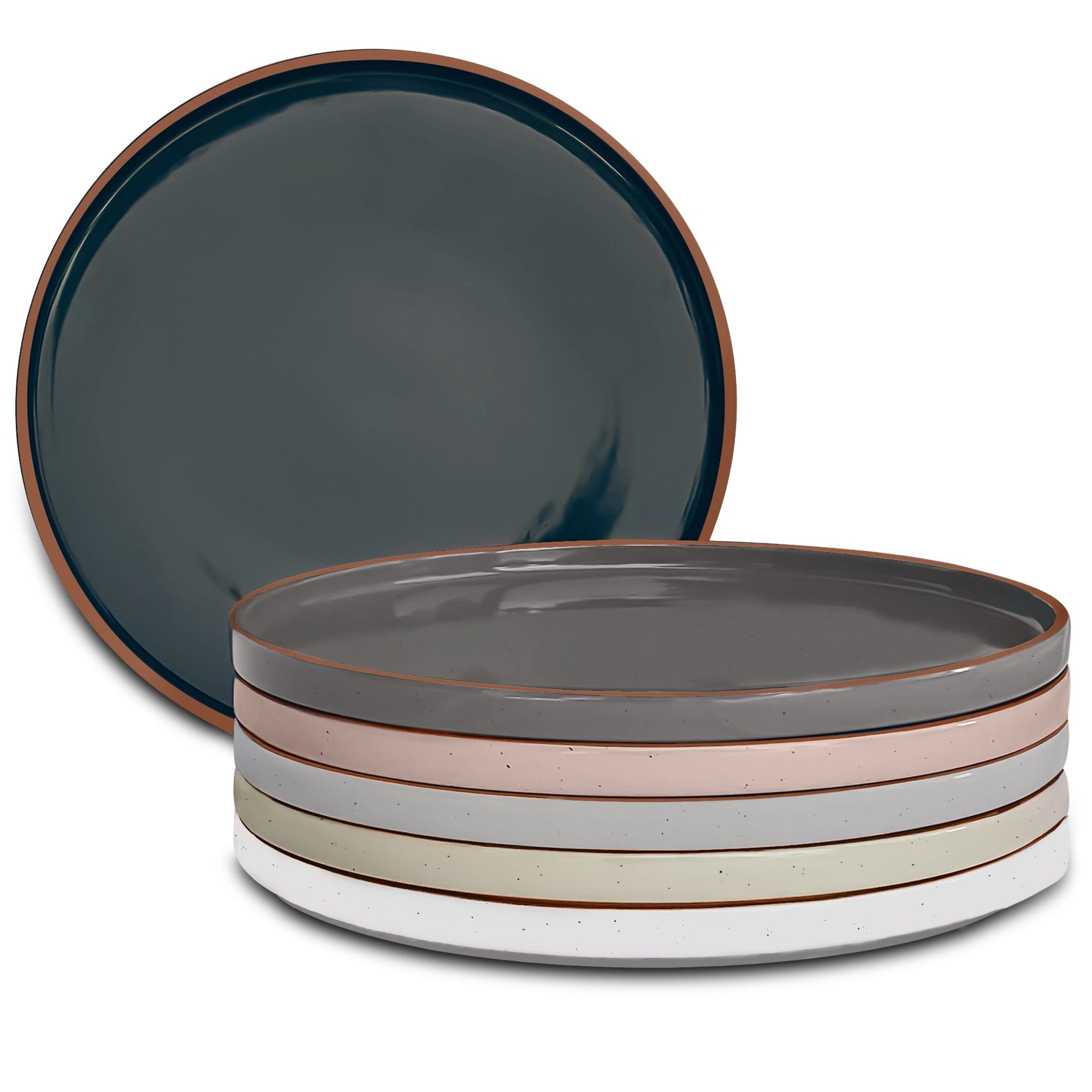 Dinner Plates - Set of 6 - 10.5 in - Assorted Neutrals