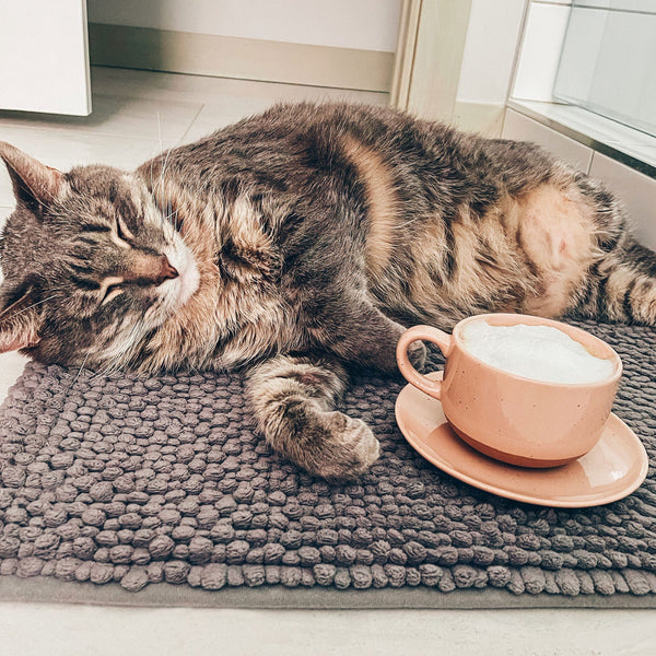 MORA CERAMICS Kitchen & Dining Cappuccino Mugs with Saucers Set of 4 - 8oz - Assorted Neutrals